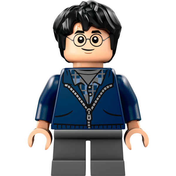 Конструктор LEGO 76434 Harry Potter Арагог у Забороненому лісі