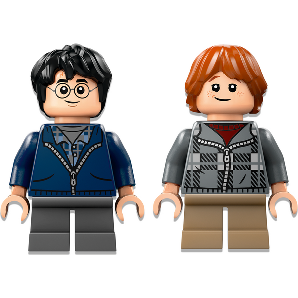 Конструктор LEGO 76434 Harry Potter Арагог у Забороненому лісі