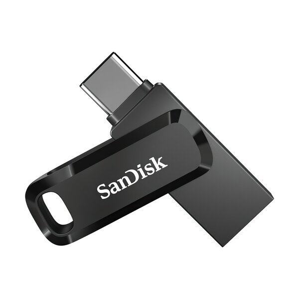 USB-Флешка SanDisk SDDDC3-256G-G46