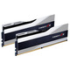 Модуль памяти DDR5 2x16GB/5600 G.Skill Trident Z5 Silver (F5-5600J4040C16GX2-TZ5S)