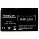 Аккумуляторная батарея FrimeCom 12V 9AH (GS1290) AGM