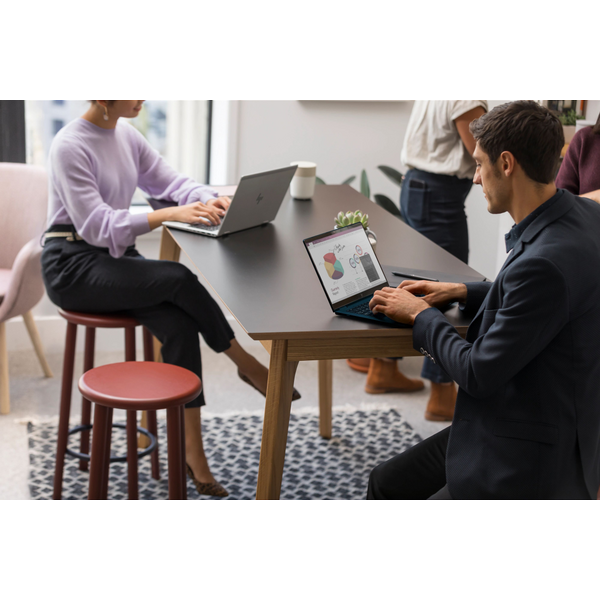 Ноутбук HP EliteBook 865-G11 16" WUXGA IPS AG, AMD R5-8540U, 16GB, F512GB, UMA, Win11P, серебристый