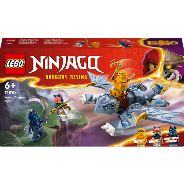 Блоковий конструктор LEGO 71810 Ninjago Молодий дракон Рію
