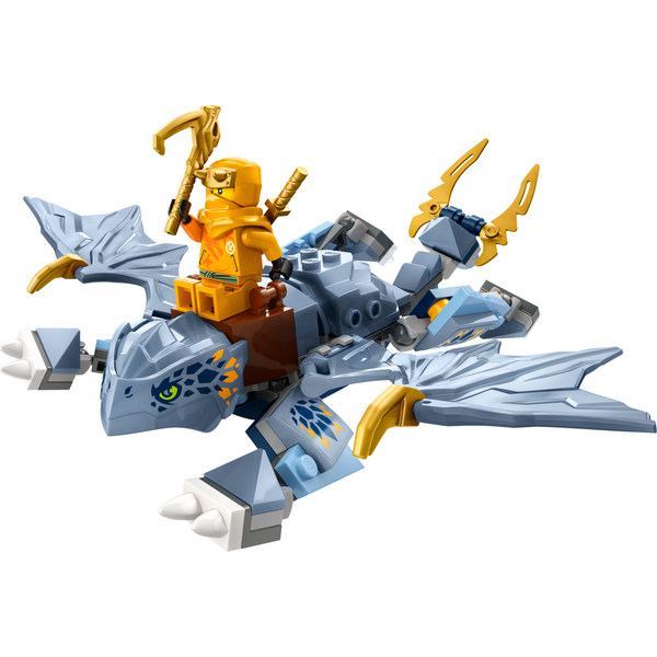 Блоковий конструктор LEGO 71810 Ninjago Молодий дракон Рію