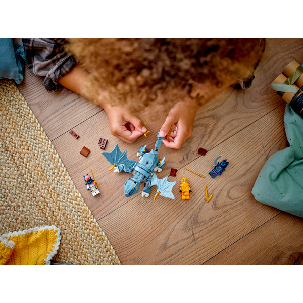 Блоковий конструктор LEGO 71810 Ninjago Молодий дракон Рію