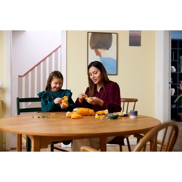 Конструктор LEGO Disney Classic Король Лев - Львенок Симба 1445 деталей (43247)