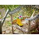 LEGO Creator Квіти в лійці 31149