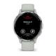 Смарт-часы Garmin Venu 3s Silver Stainless Steel Bezel with Sage Gray Case and Silicone Band (010-02785-51)