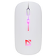 Миша DEFENDER (52998) Touch MM-997, 2.4+BT, RGB, 500mAh, WHITE, wireless, silent