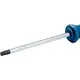 Викрутка Torx Bosch набір 6шт, T10х75, T15х75, T20x100, T25x100, T30x125, T40x125 мм