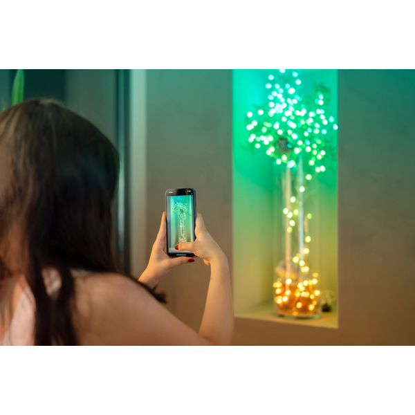 Smart LED Гірлянда Twinkly Strings USB 200 Candle-shaped RGB LEDs, Clear Wire, USB-C (TWKC200RGB-T)