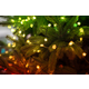 Smart LED Гірлянда Twinkly Strings USB 200 Star-shaped RGB LEDs, Green Wire, USB-C (TWKS200RGB-G)