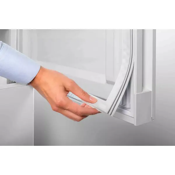 Холодильник Liebherr Re 1201 Pure (RE1201) - холодильник.