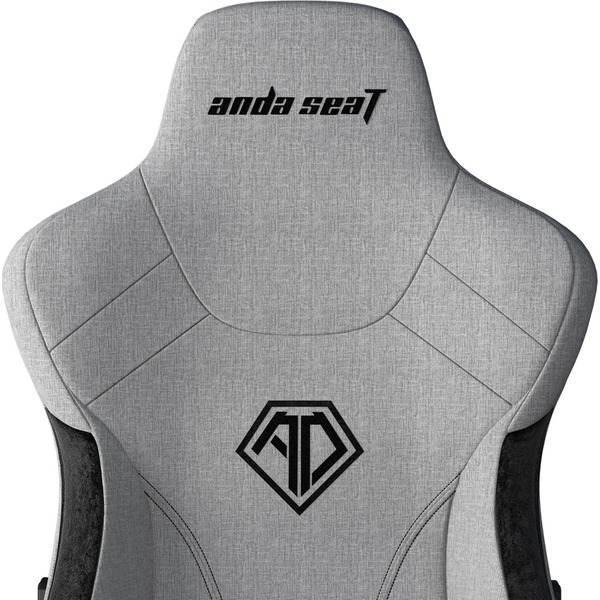Комп'ютерне крісло ігрове Anda Seat T-Pro 2 Size XL Gray/Black