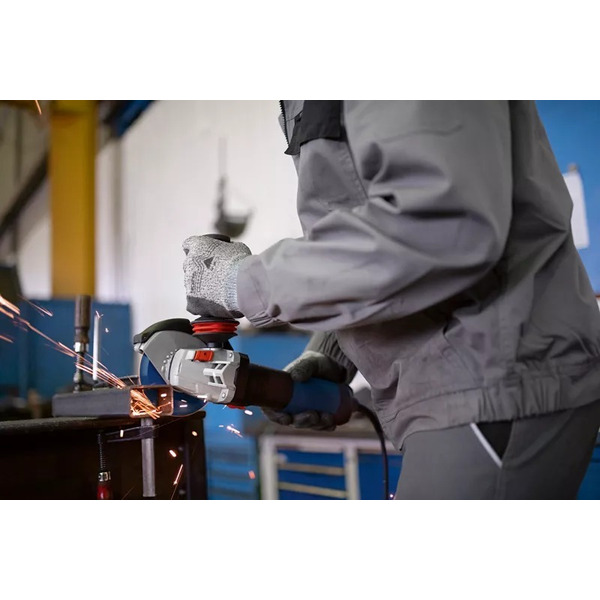 Шліфмашина кутова Bosch GWS 17-125 Professional 125мм 1700Вт (0.601.7D0.200)