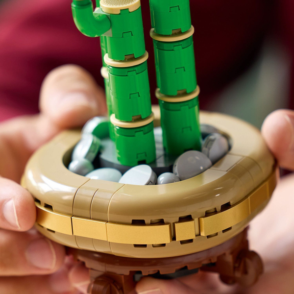 Конструктор LEGO Botanicals: Драцена сандера (10344)