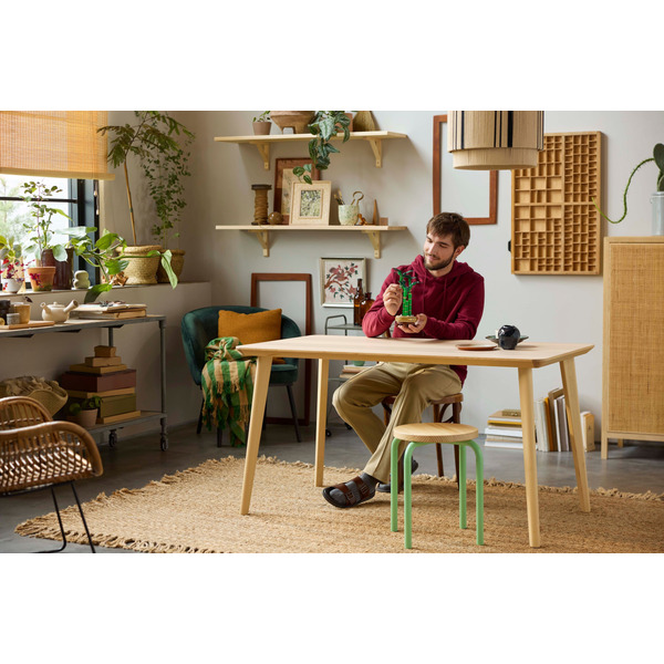 Конструктор LEGO Botanicals: Драцена сандера (10344)