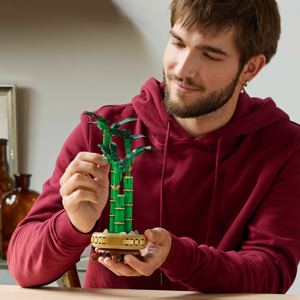 Конструктор LEGO Botanicals: Драцена сандера (10344)