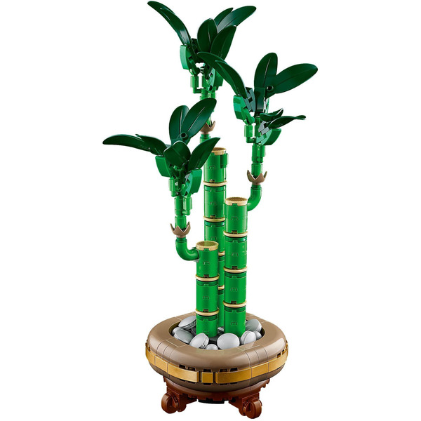 Конструктор LEGO Botanicals: Драцена сандера (10344)