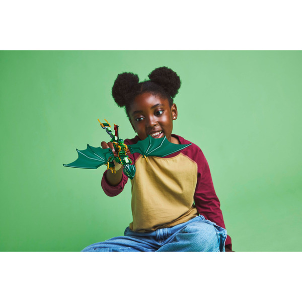 LEGO Ninjago: Зеленый лесной дракон Ллойда (Набор 71829)