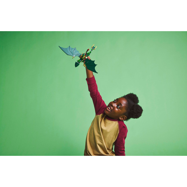 LEGO Ninjago: Зеленый лесной дракон Ллойда (Набор 71829)