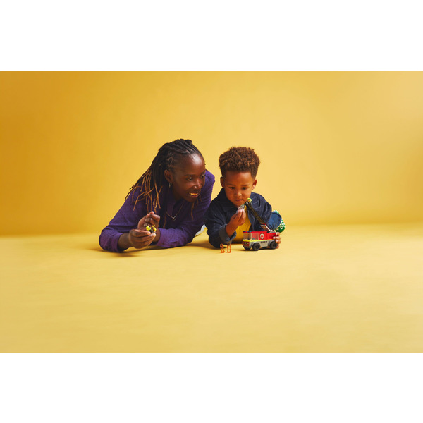 Блоковий конструктор LEGO City Пожежна машина з драбиною (60463)