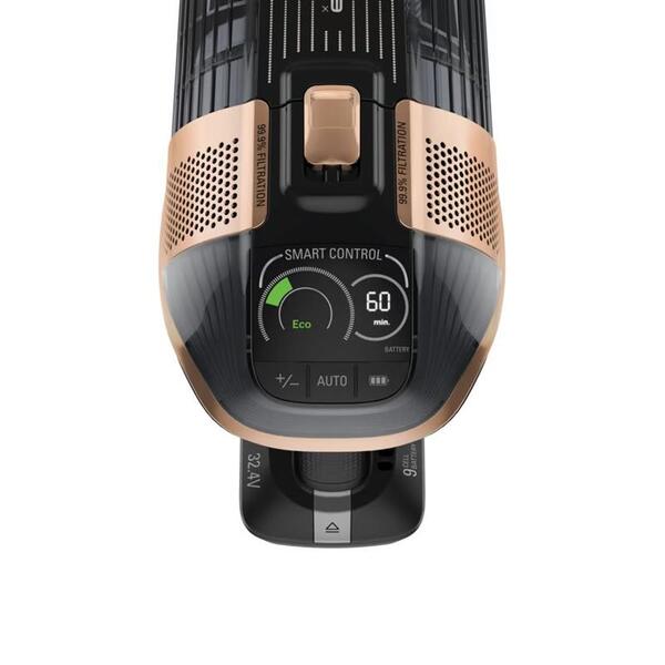 Пылесос Rowenta X-Force Flex 15.60 RH99F1WO