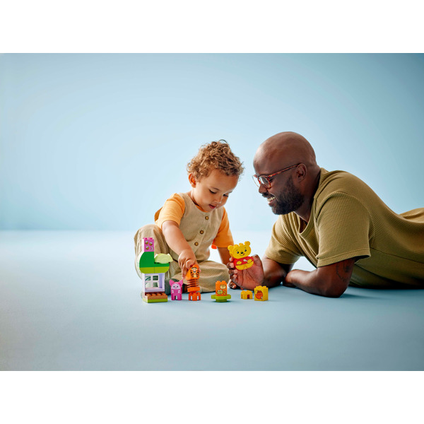 Конструктор LEGO DUPLO Disney День рождения Винни Пуха 22 детали (10457)