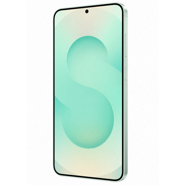 Смартфон Samsung Galaxy S25+ 12/256GB Mint (SM-S936BLGDEUC)