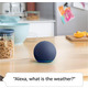 Акустическая система Amazon Echo Dot (5th Gen) Smart Speaker with Alexa Charcoal_JP