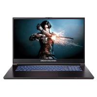 Ноутбук Dream Machines RG2050-17 17.3FHD IPS, Intel i5-12450H, 16GB, F1TB, NVD2050-4, DOS, чорний