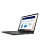 Ноутбук Dell Pro 13 BTO208PA13250UA_W11P