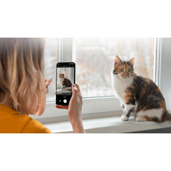 Карта пам`яті Samsung Evo Plus MB-MC512SA/EU