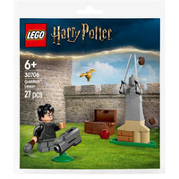 Конструктор LEGO Harry Potter Урок з Квідичу