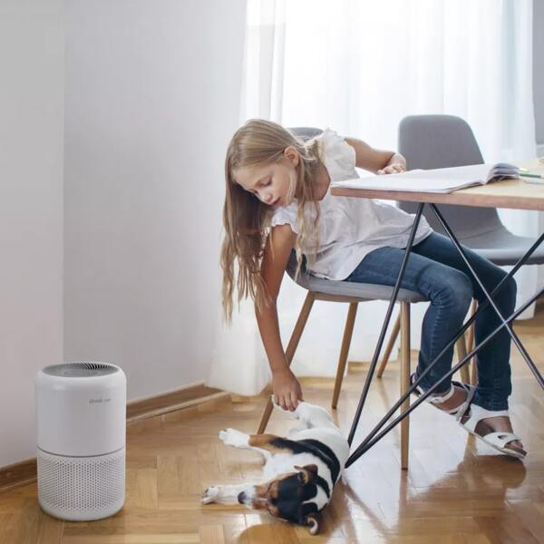 Очищувач повітря Levoit Air Purifier Core P350 Pet Care (HEAPAPLVNEU0035)