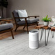 Очиститель воздуха Levoit Air Purifier Core P350 Pet Care (HEAPAPLVNEU0035)