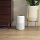 Очиститель воздуха Levoit Air Purifier Core 300 White (HEAPAPLVNEU0036)