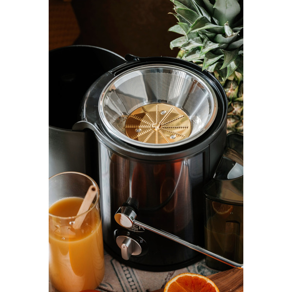 Соковитискач Adler AD 4132 dark