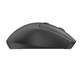 Мышь беспроводная OfficePro M315B Black