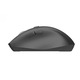 Мышь беспроводная OfficePro M315B Black