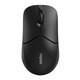 Мышь беспроводная Rapoo 1510 Wireless Black