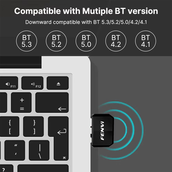 Беспроводной адаптер Fenvi FV-BT5.4