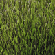 Искусственная спортивная трава Unity ProTurf 45