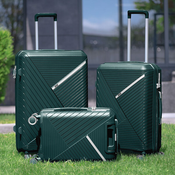 Чемодан 2E SIGMA 2E-SPPS-L-EG