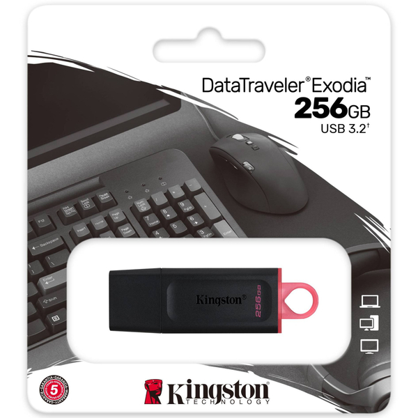 USB-Флешка Kingston DT Exodia DTX/256GB#