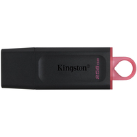 USB-Флешка Kingston DT Exodia DTX/256GB#