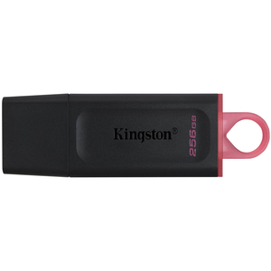 USB-Флешка Kingston DT Exodia DTX/256GB#