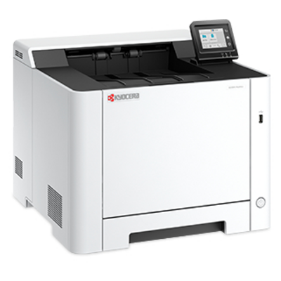 Принтер Kyocera Ecosys 110C253NL0