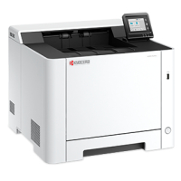 Принтер Kyocera Ecosys 110C253NL0