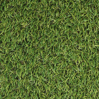 Декоративна трава Unity Karpatia 4T 4.0m